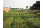Property photo 1 - 114+/- Acres Offered in 4 Tracts